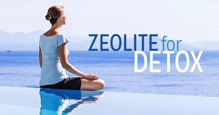 How Zeolite Supports Detox